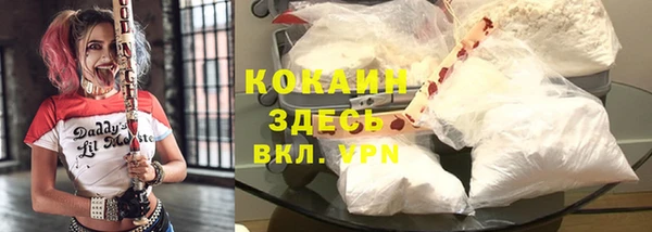 ГАЛЛЮЦИНОГЕННЫЕ ГРИБЫ Горняк