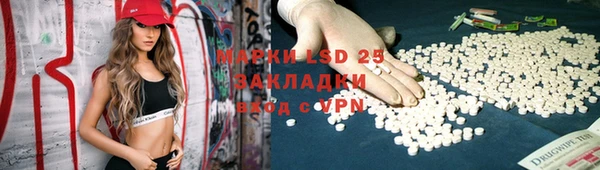 ГАЛЛЮЦИНОГЕННЫЕ ГРИБЫ Горняк