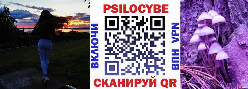 Псилоцибиновые грибы мицелий  где можно купить наркотик  Заинск 